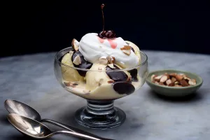 HOT FUDGE SUNDAE