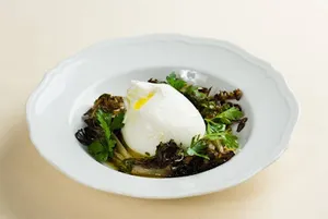 Burrata