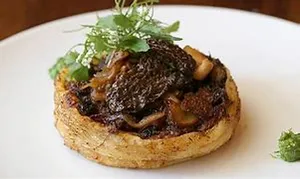 WILD MUSHROOM PITA TART (Vt)