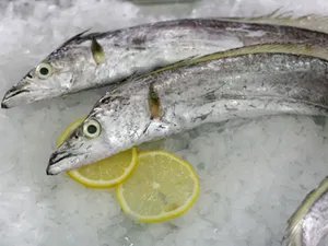 Thala   /ribbon fish-500gm