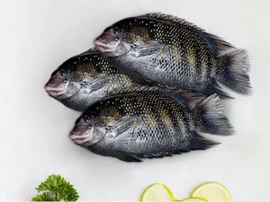 Karimeen-500gm