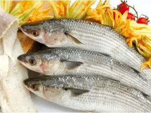 Mullet / Kanambu-1kg