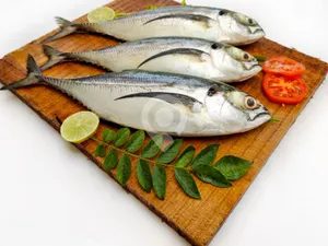 Kannan Ayala / Mackerel- 1kg