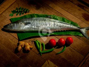 Small Neymeen/King fish- 1kg